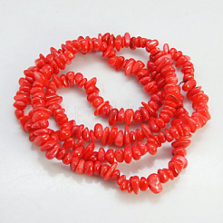 Chapelets de perles de coquillage naturel&nbsp;LS-BSHE-D002-03