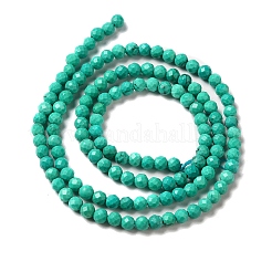 Fili di perline howlite naturale&nbsp;G-C025-02B-02