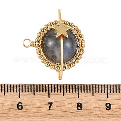 Pendentifs enveloppés de fil de cuivre de labradorite naturelle&nbsp;PALLOY-TA00426-04