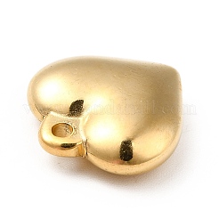 Ионное покрытие (ip) подвески из нержавеющей стали 304&nbsp;STAS-H172-01G