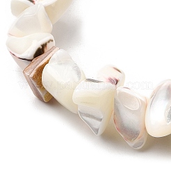 Нити бусин из натуральных трохоидных/трохус ракушек&nbsp;SHEL-B003-02J
