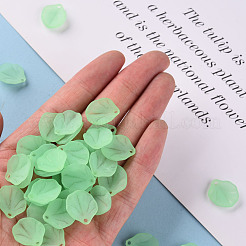 Прозрачные матовые акриловые подвески&nbsp;MACR-S371-02A-733