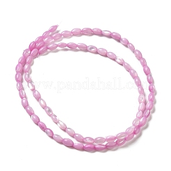 Natürliche Trochusmuschelperlenstränge&nbsp;X-SHEL-K006-19A