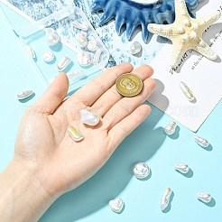 22 шт. 11 стиля бусины из АБС-пластика&nbsp;FIND-CJ0005-37