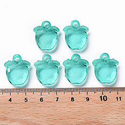 Прозрачные акриловые подвески TACR-S154-28B-68