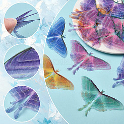 20 шт. 5 цвета ткани имитация марли бабочка украшения аксессуары&nbsp;DIY-SP0005-69