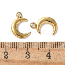 Ionenplattierung (IP) 304 Edelstahlanhänger&nbsp;STAS-P312-20G