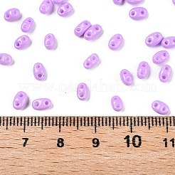 Выпечка краска стеклянные бусины SEED-T006-03K