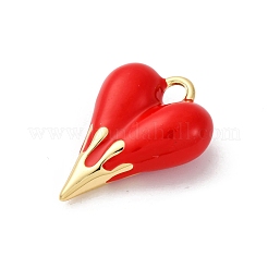 Латунь эмаль подвески KK-Q098-19G-B