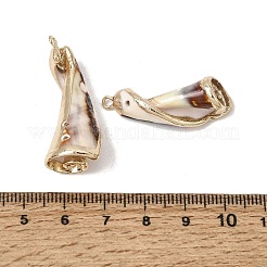 真鍮＆ナチュラルシェルペンダント  巻き貝の形をしたチャーム  金メッキエッジ付き  貝殻色  31~41x11~16x11~16mm  穴：1.8mm&nbsp;SH-CBA27C9-12