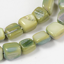 Shell perle naturali fili&nbsp;PBB073Y