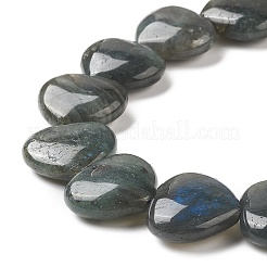 Природные лабрадорита бисер нитей G-G996-B11