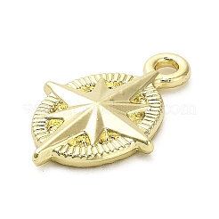 Aluminium Anhänger & Charms&nbsp;X1-FIND-A051-03A-G