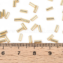 Perles de bugle en verre&nbsp;SEED-R011-22