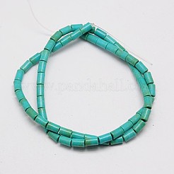 Filo di perline turchesi sintetici&nbsp;X-TURQ-G120-3x5mm-13