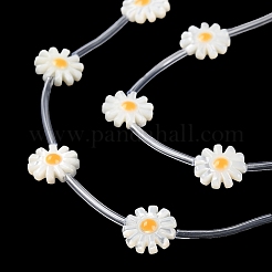 Нити бусин из натуральной ракушки трохус&nbsp;BSHE-E030-06B