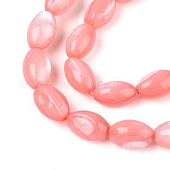 Нити бусин из натуральной ракушки трохус SHEL-K006-19-01E