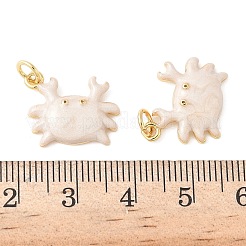 Латунь эмаль подвески KK-CJC0013-10G-01-RS