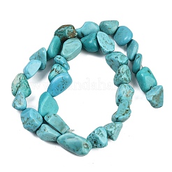 Природные Говлит бисер нитей G-N0312-01C