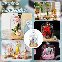 Стеклянный купол&nbsp;AJEW-WH0604-68D