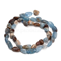 Fili di perline amazonite naturale&nbsp;GG-CBABC70-B01-01
