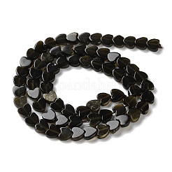 Нити бусин из опалит/синтетического авантюрина/натурального золотистого обсидиана/аметиста/клубничного кварца G-M403-A45-02