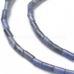 Perline sodalite naturale fili&nbsp;G-B004-A27