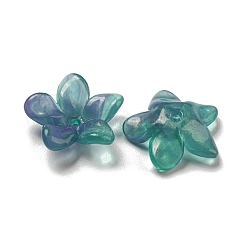 Двухцветные непрозрачные акриловые колпачки для бусин&nbsp;OACR-G034-05E