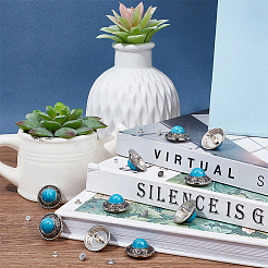 10 комплект декоративных заклепок из сплава&nbsp;DIY-GF0006-59