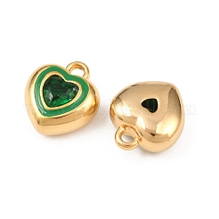 Подвески из нержавеющей стали 304 с эмалью&nbsp;STAS-C158-15G-02