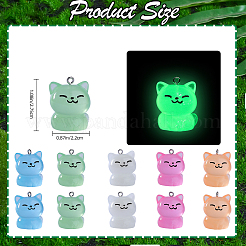 30 個 5 色の蓄光透明樹脂ペンダント  暗闇で光る3D猫チャーム  304ステンレススチールループ付き  ミックスカラー  27.5x22x19.5mm  穴：2mm  6個/カラー&nbsp;RESI-SZ0003-41