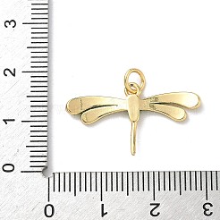 Подвески из латуни с эмалью в виде насекомых KK-B155-01C-02G