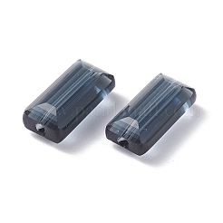 K9 Glas&nbsp;SWAR-F081-6x12mm-20