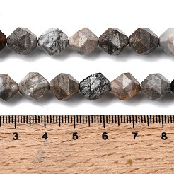 Природные окаменелые коралловые бусы пряди G-Z119-A26-03