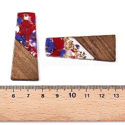 Подвески из непрозрачной смолы и ореха&nbsp;RESI-T058-04G