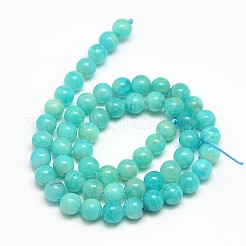 Grade una pietra preziosa naturale perle tonde amazonite fili&nbsp;G-O017-10mm-08A