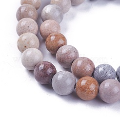 Природные окаменелые коралловые бусы пряди G-L500-02-6mm