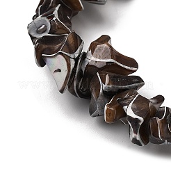 Нити бусин из натуральных трохоидных/трохус ракушек&nbsp;SHEL-B003-02M