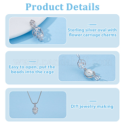 1 шт. 925 подвески из стерлингового серебра с микропаве из прозрачных кубических цирконий в форме клетки STER-HS0001-19