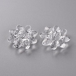 Прозрачные акриловые бусины TACR-491-01