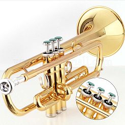 2 набор из 2 цветных застежек-кнопок из АБС-пластика FIND-FH0003-17