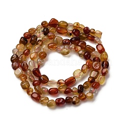 Натуральный красный агат бисер нитей G-I389-A37-01B