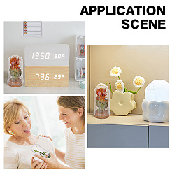 Стеклянный купол AJEW-PH0004-18