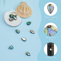 10 шт. бусины из ракушек абалона/пауа SSHEL-FI0001-01