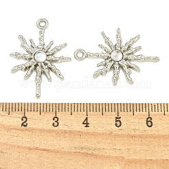 Подвески из сплава  FIND-Z061-01P