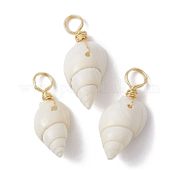 Pendenti a spirale shell, con veri anelli di filo di rame placcato oro 18k, charms shell, bianco, 22~25x8~10x7~9mm, Foro: 3.8~4 mm
