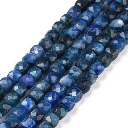 Chapelets de perles en cyanite / cyanite / divalent naturel, facette, cube, 4.5x4.5x4.5mm, Trou: 0.8mm, Environ 83 pcs/chapelet, 15.16 pouce (38.5 cm)