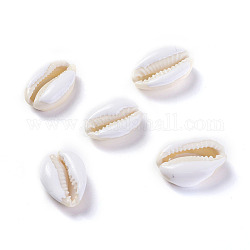 Cuentas de concha de cowrie, con esmalte, perlas sin perforar / sin orificios, blanco, 18~22x13~15x7~8mm