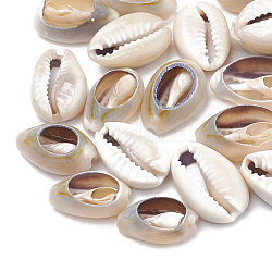 Perles en cauris, couleur de coquillage, 12~17x7~11x5~6mm, environ 1100 pcs/500 g