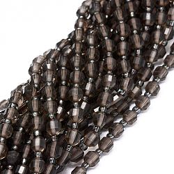 Naturale perle di quarzo fumé fili, con perline semi, sfaccettato, bicono, perline prisma a doppia punta terminata, 5~7x6mm, Foro: 0.8 mm, circa 48pcs/filo, 15.55 pollice (39.5 cm)